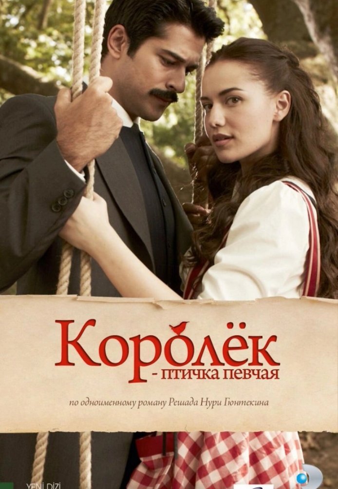 Королек – птичка певчая (2013 - 2014)